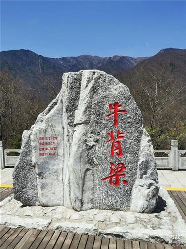 WDCM上传图片