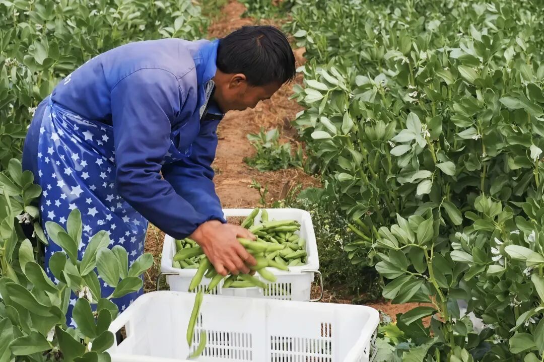 640 - 2026-03-23T101629.410.jpg