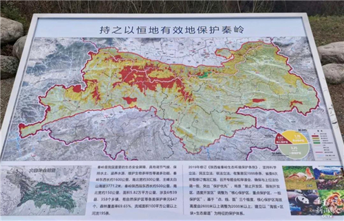 WDCM上传图片