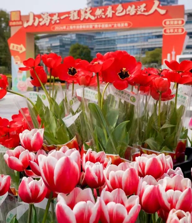 640 - 2026-03-23T105843.434.jpg