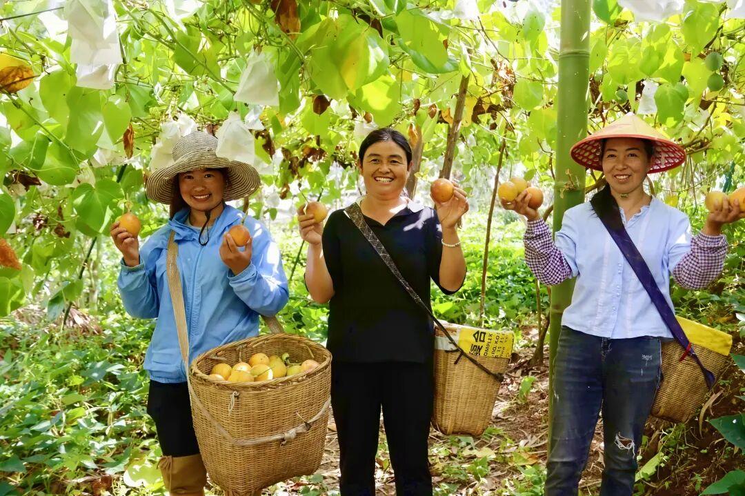 640 - 2026-03-23T101619.706.jpg