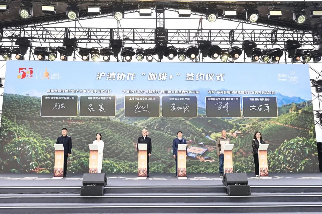 640 (38).jpg