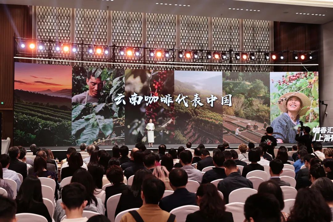 微信图片_20250512162819.jpg